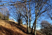 Monte VACCAREGGIO (1474 m) da Lavaggio di Dossena il 24 dic. 2017 - FOTOGALLERY